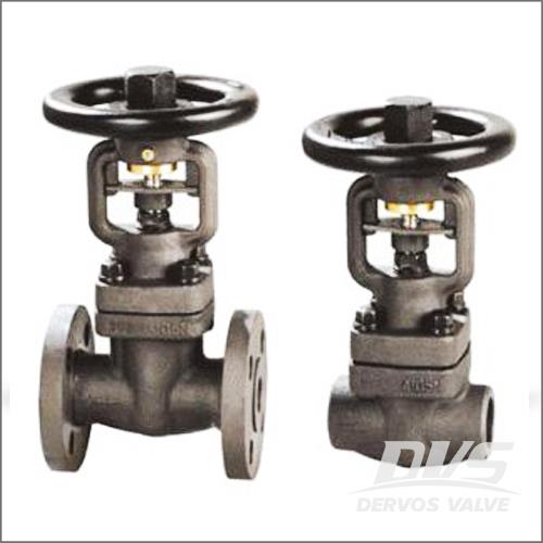 ISO 15761 BSP Gate Valve
